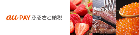 au PAY ふるさと納税